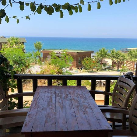 Zambak Holiday Village & Restaurant Superb Seafront Location ! Agios Georgios  エクステリア 写真