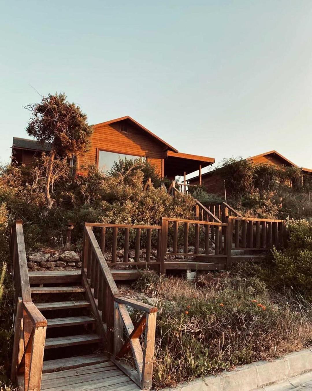 Zambak Holiday Village & Restaurant Superb Seafront Location ! Agios Georgios  エクステリア 写真